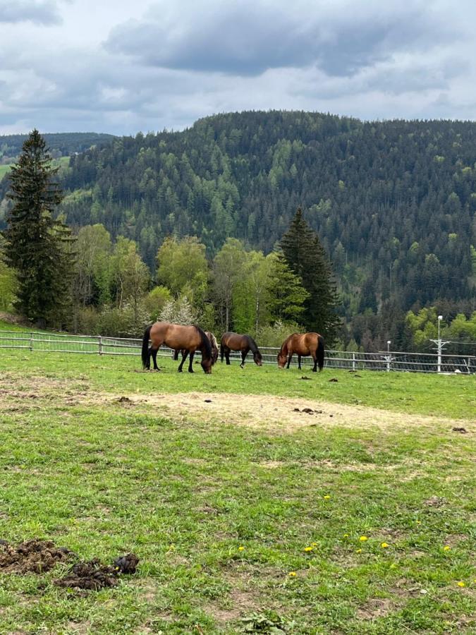 Jasminovy Raj Leilighet Vítkovice Eksteriør bilde
